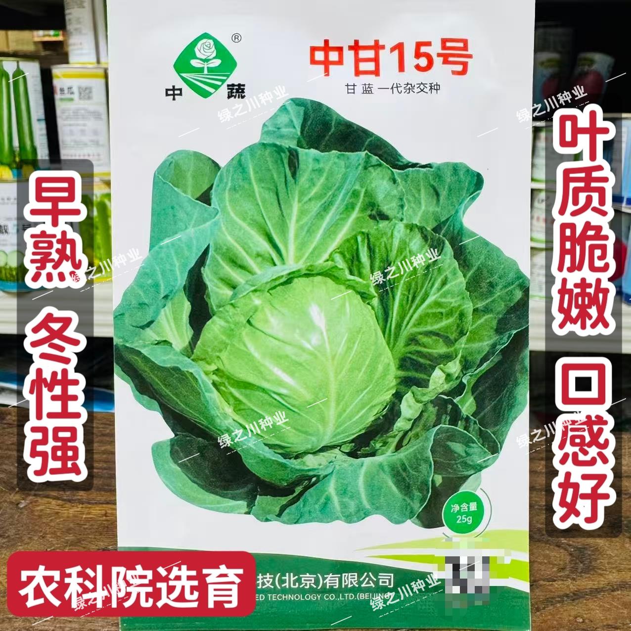 中甘15号甘蓝种子早熟春秋结球甘蓝种籽耐寒圆包菜种子口感脆嫩