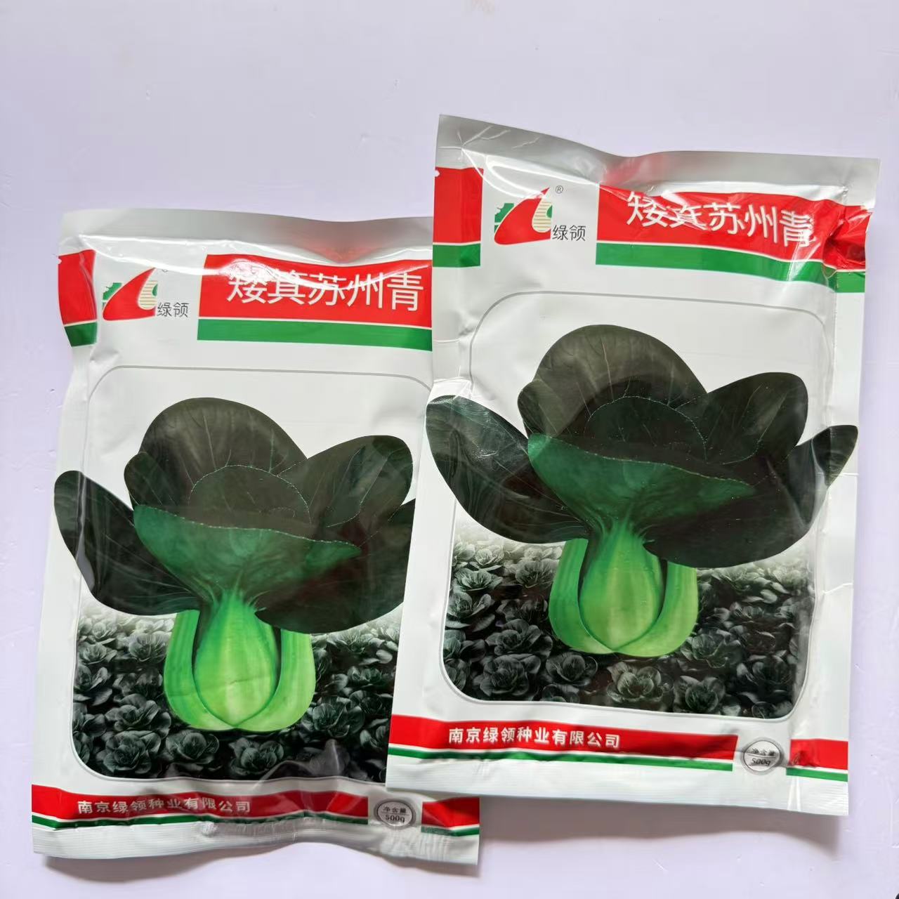绿领矮箕苏州青种子青菜种籽农家菜园春秋小青菜种孑耐寒蔬菜种籽