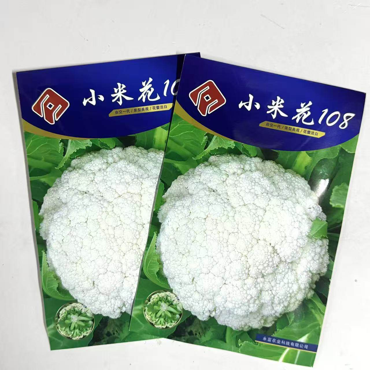 小米花108一代杂交晚熟松花菜种子耐寒耐湿早熟白色高产花球松大