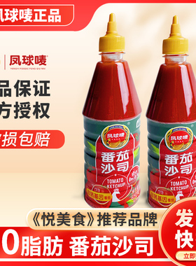 凤球唛番茄沙司650g家用儿童挤挤装番茄酱商用0脂肪薯条蘸酱蕃茄