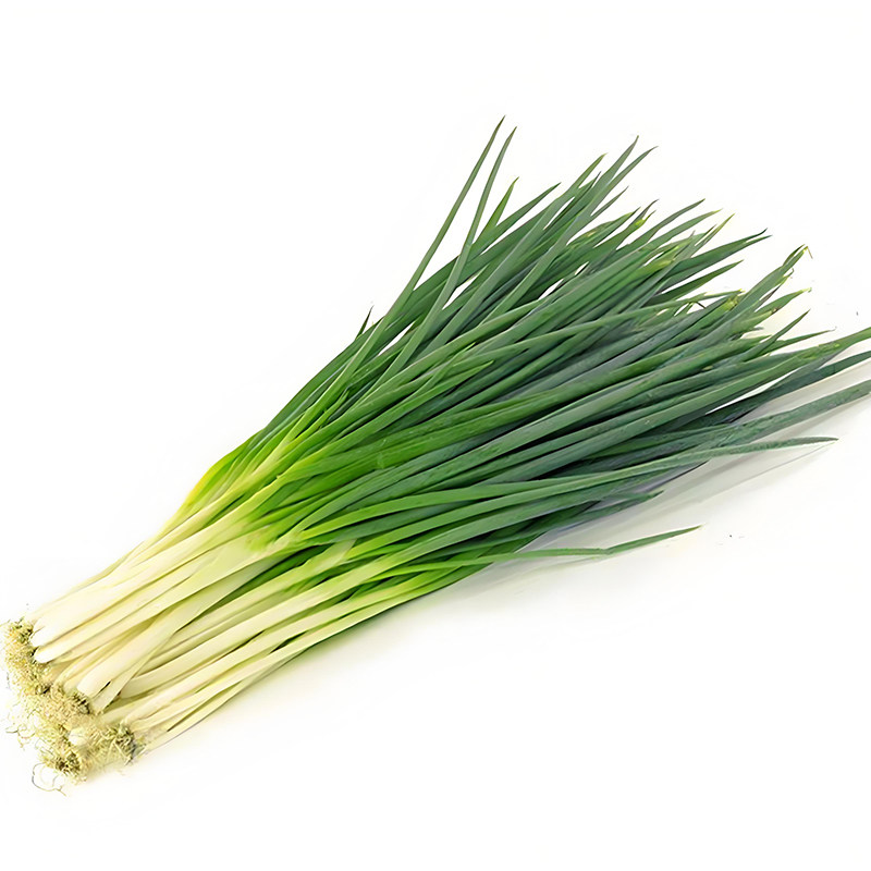 四季小香葱种子庭院阳台盆栽小葱种籽蔬菜种子四季播易种农家菜园