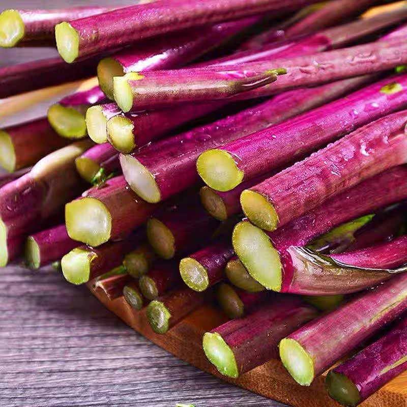 方震春季精选红菜苔种子易种