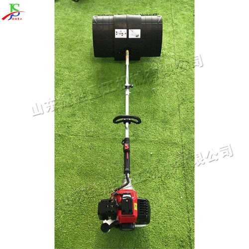 手推式梳草清理机 小型便携式手提刷草机 汽油动力人造草坪清理机