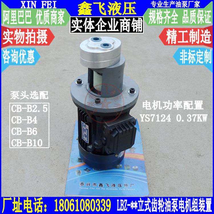 LBZ型立式齿轮油泵电机组装置 YS7134 0.55KW YS7124 0.37KW,鲜花速递/花卉仿真/绿植园艺,割草机/草坪机,淘宝优惠券,粉丝福利购,淘宝优惠卷