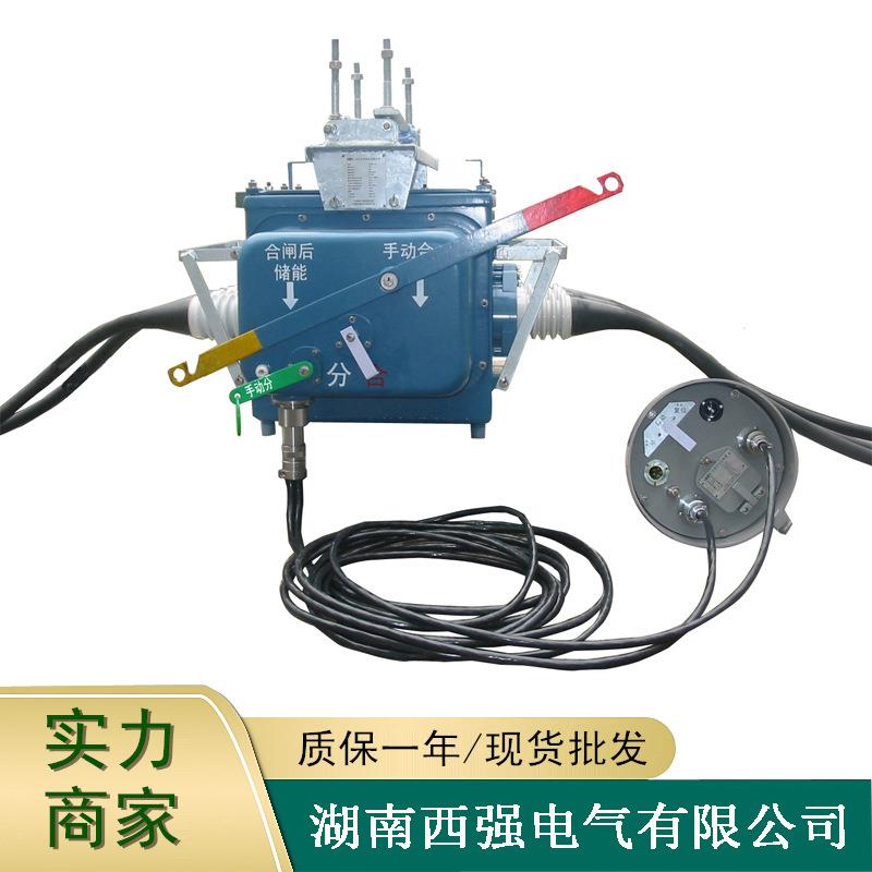 FZW28F-12/T630户外分界智能真空断路器10KV高压电动负荷杆上开关