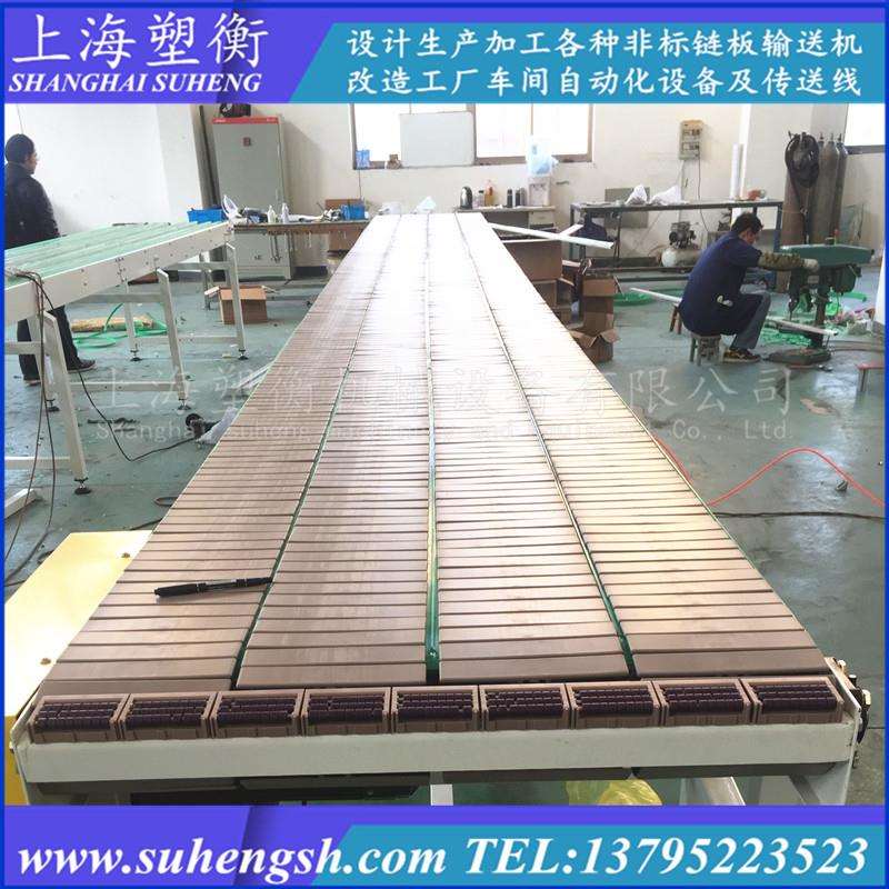 平行式链板输送机 塑料平顶链多排同步输送线 柔性滚珠链板过渡