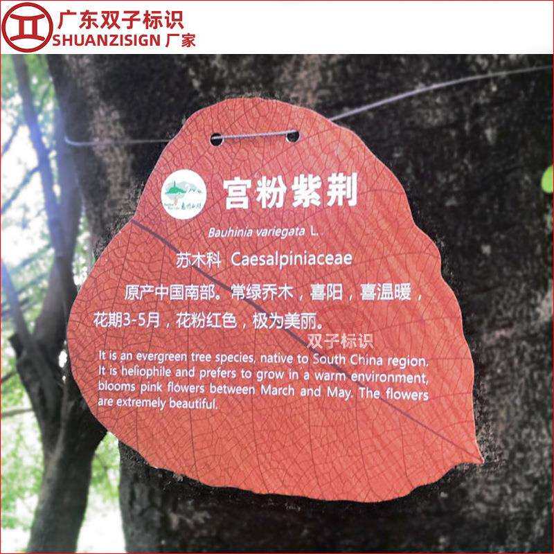 不锈钢仿木纹景区标识指示牌简介牌 仿木头树铭牌 植物介绍牌户外
