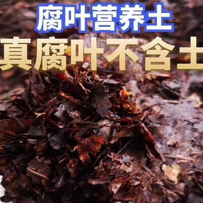 腐叶土营养土腐熟橡树叶君子兰兰花营养土兰科花卉绿萝盆栽通用型