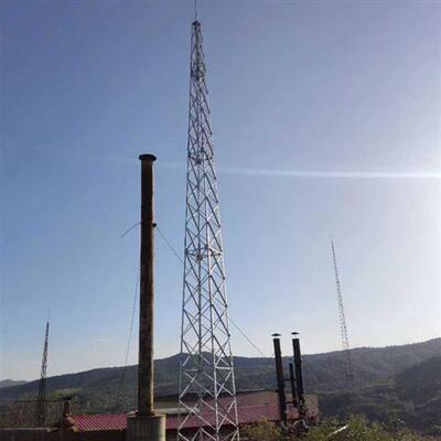 大型避雷针不锈钢防雷工程避雷针屋顶家用别墅屋顶接闪杆单针镀锌