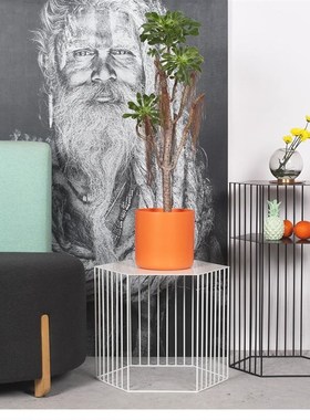 北欧铁艺茶几g角几创意桌子简约现代金色沙发边几轻奢六角花架装