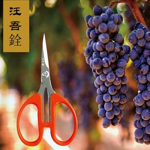 汪吾铨剪刀葡萄修枝剪疏果剪梳果神器家用小剪刀尖头剪园艺摘果剪