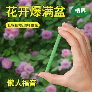 植物营养棒缓释肥料盆栽花卉家用养花通用型营养液片绿植土壤花草