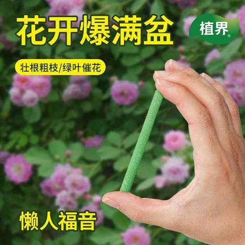 植物营养棒缓释肥料盆栽花卉家用养花通用型营养液片绿植土壤花草