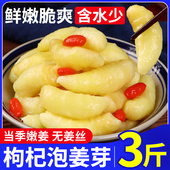 山东淄博枸杞泡姜芽嫩姜牙酸甜姜芽糖醋生姜片腌制泡菜商用下饭菜