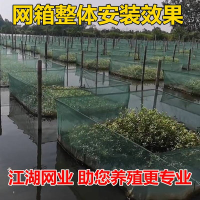 定做养黄鳝网箱鱼泥鳅养殖网专用40加厚目渔网塑料小型带盖鳝网箱