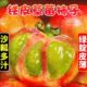 自然熟正宗柿子番茄顺丰可选 丹东草莓柿子5斤水果西红柿新鲜当季