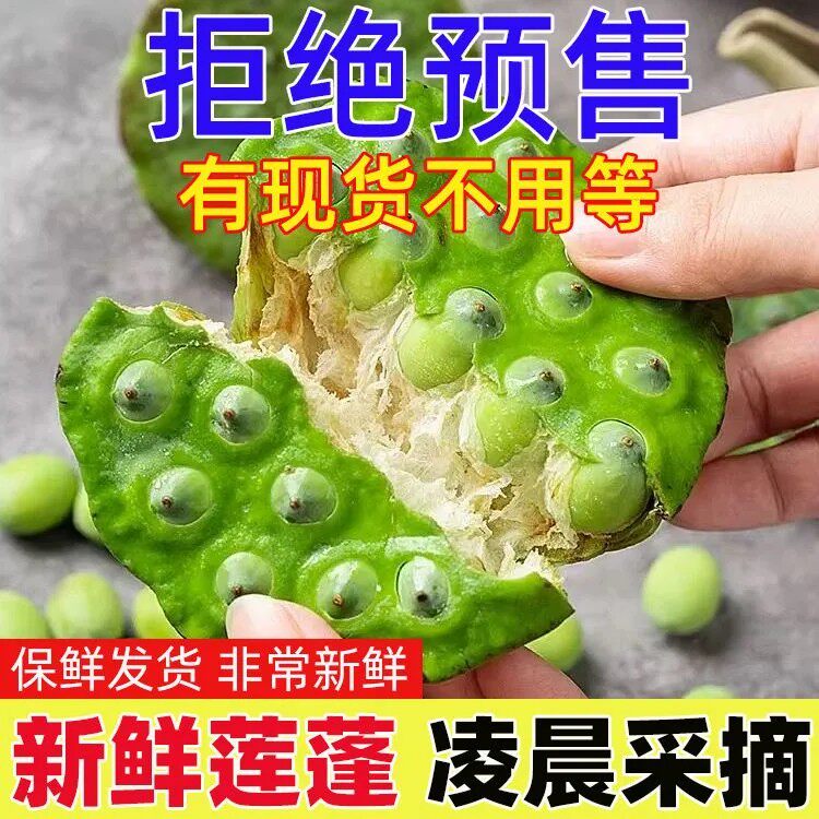 新鲜莲蓬新鲜生吃莲子应季水果莲米新鲜手剥当季新鲜莲蓬鲜莲子米