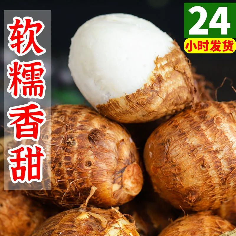 新鲜芋头现挖贵州牛奶小毛