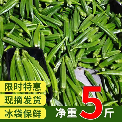 【现货速发鲜嫩秋葵】农家自种羊角豆水果黄秋葵新鲜蔬菜冷链包邮