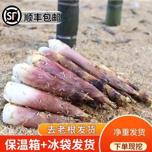 顺丰新鲜竹笋雷笋春笋鲜竹笋雷竹笋现挖野生农家新鲜整箱批发带壳