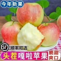 【26年头茬】嘎啦小苹果新鲜现摘水果当季红富士小苹果一整箱批发