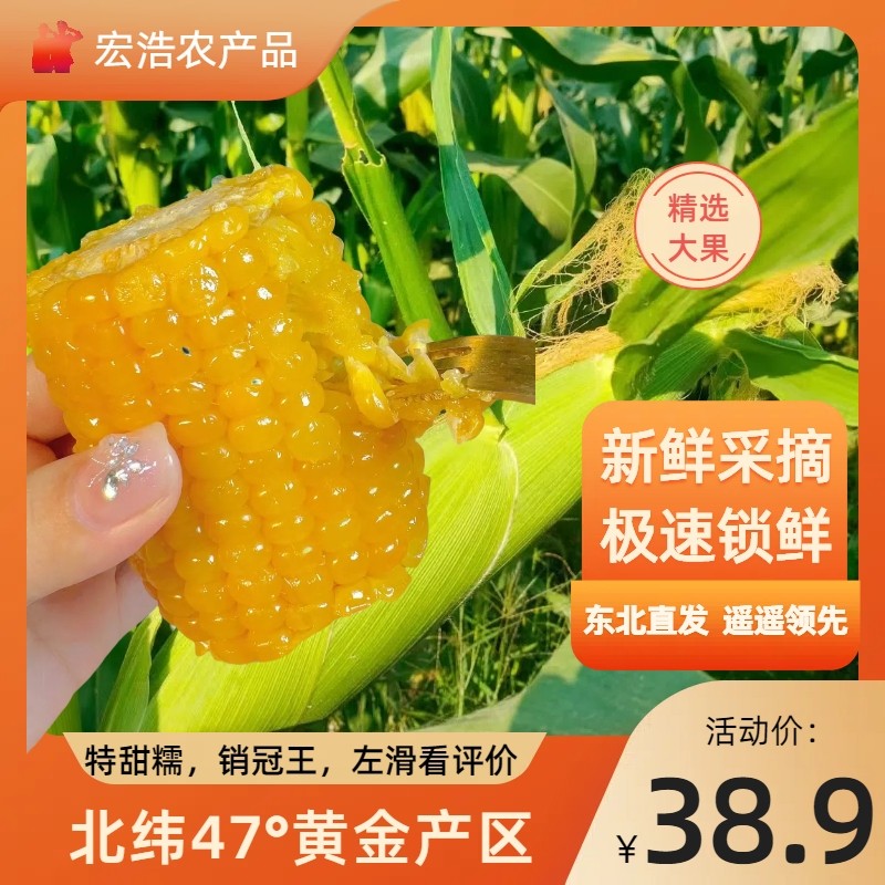 26年新东北黄糯玉米，非转基因 北纬47，无添加玉米 8根装 巨好吃