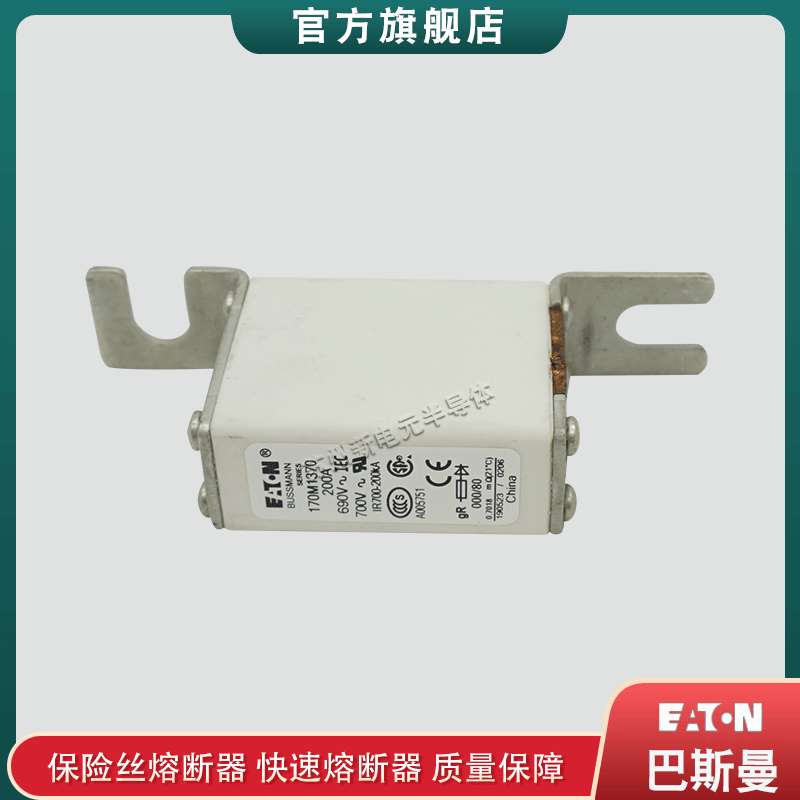 170M0209 0211 0212 0213 0214 0215 0216 0217 巴斯曼快速熔断器