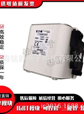 保险丝熔断器170M6500 170M6501 170M6644 170M6645 170M6646