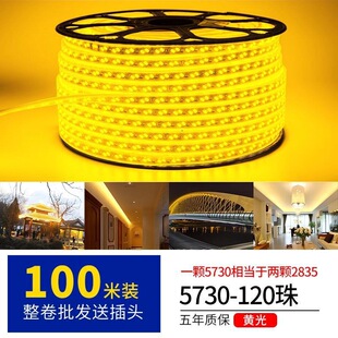 LED灯带220v户外防水地下室隧道工地亮化装饰照明金黄光灯条2700k