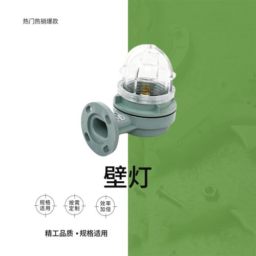 壁灯IMPA 792067船用壁灯WB-1B密封壁灯24V船舶用