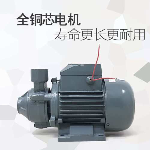 CLEAN WATER PUMP锅炉补水泵1/2DB-70高压旋涡泵1DB-80 3/4DB-120