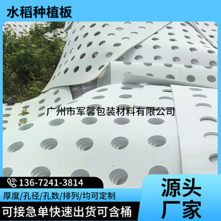 水稻种植漂浮板 无土栽培蔬菜种植浮床 鱼菜共生浮板