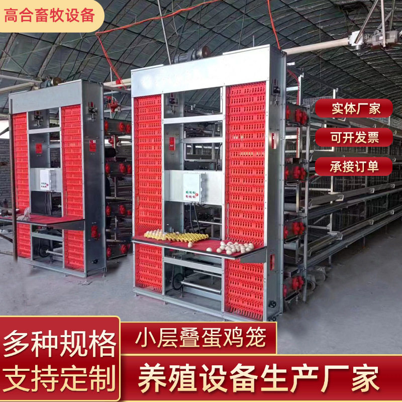 全自动蛋鸡笼层叠式养鸡设备厂家热镀锌捡蛋喂料清粪全自动化鸡笼