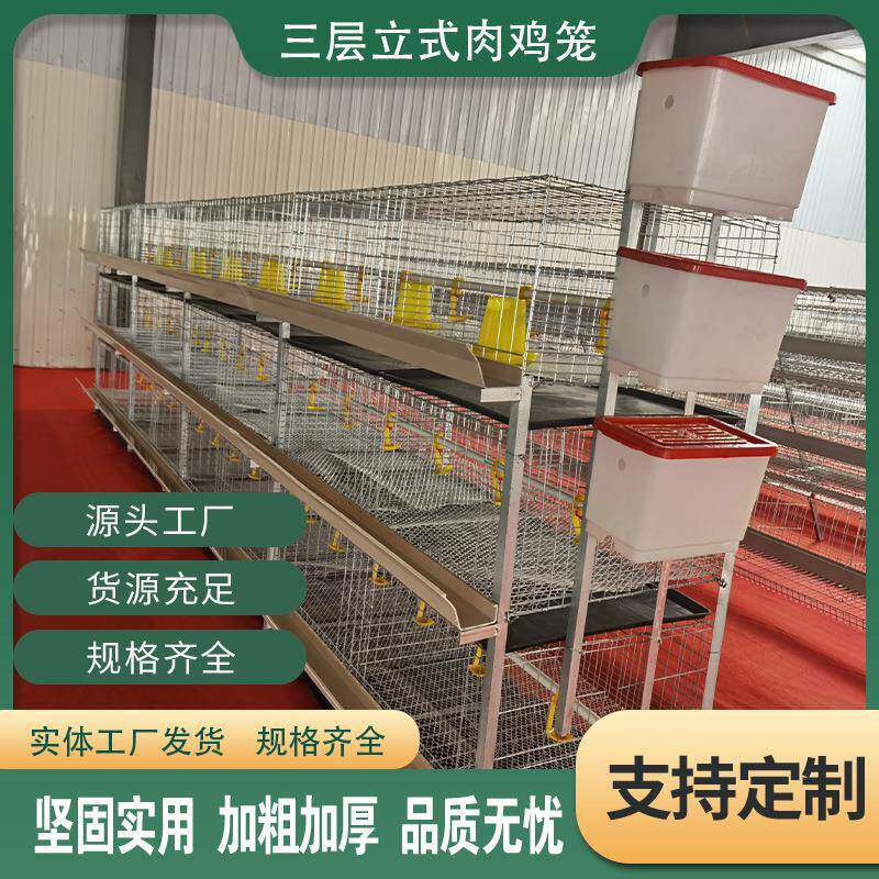 养鸡场小鸡笼养育雏鸡笼H型立体式育雏鸡笼子镀锌鸡笼子