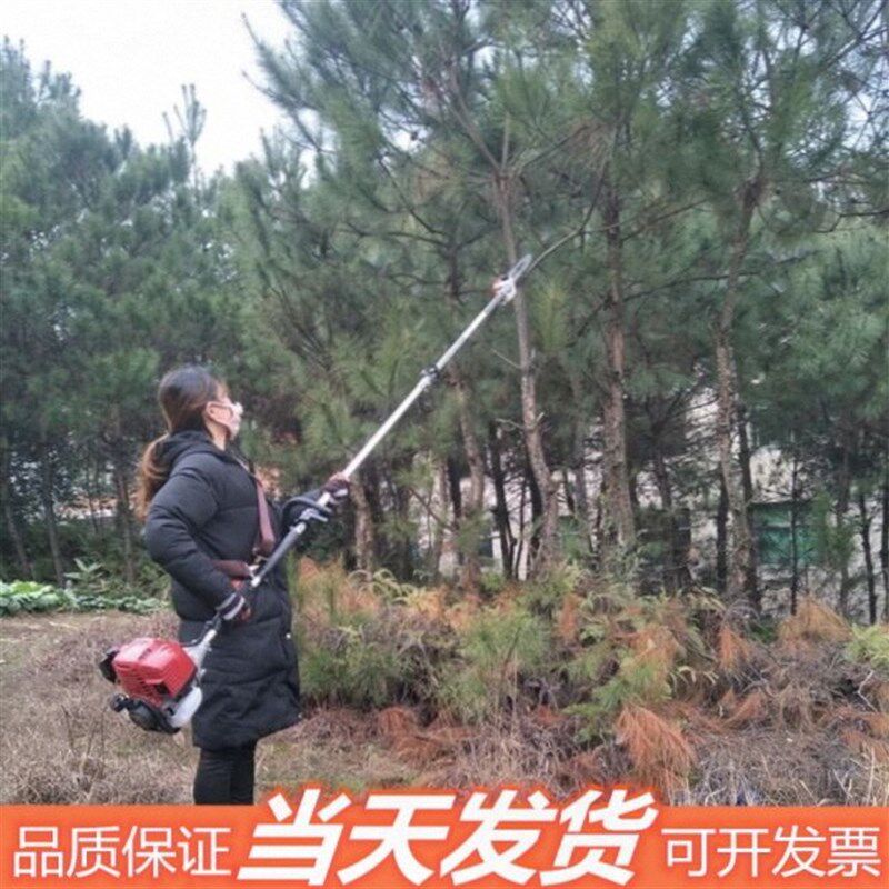 。高枝油锯高枝锯果树修枝锯割草机汽油修树高空锯高枝汽油高枝剪