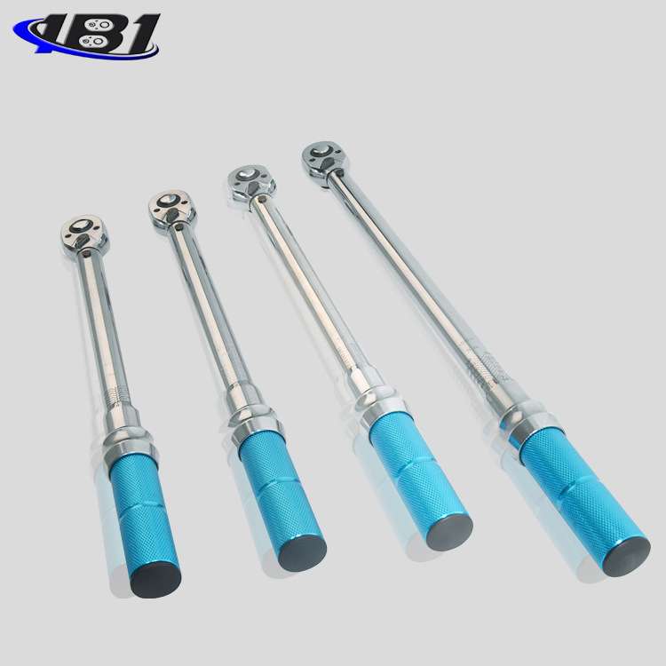 EYB5-60Nm预置式扭矩扳手 扭矩扳手 可换头力矩扳手厂家直销保修