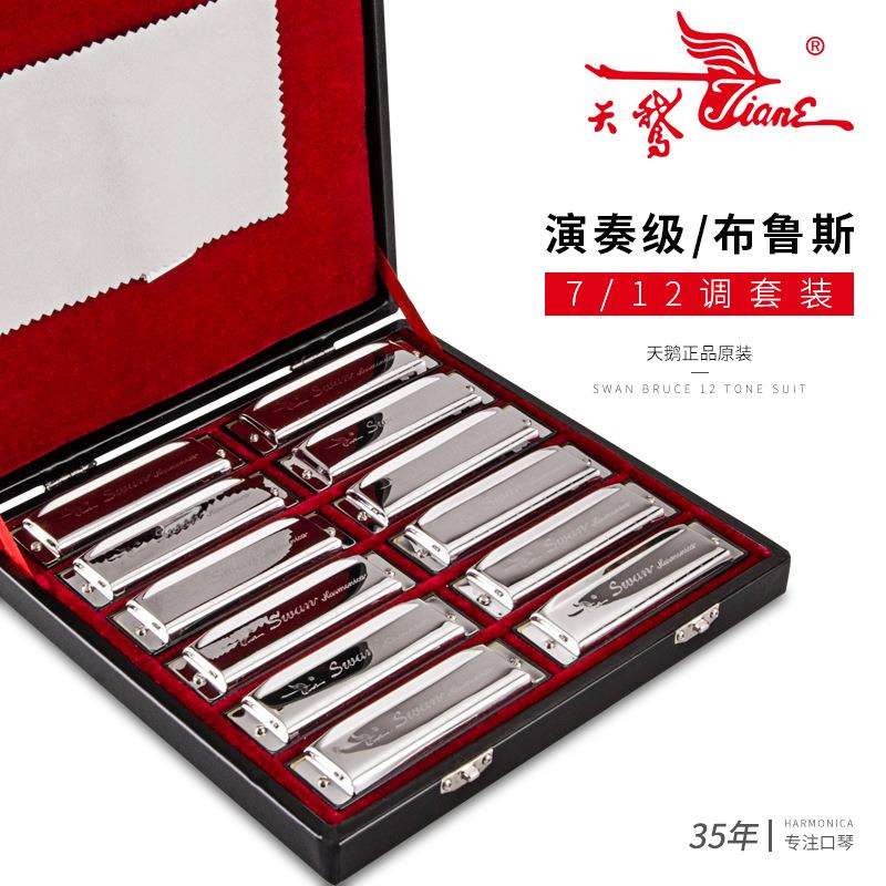 天鹅(Tian E)10孔布鲁斯口琴初学者儿童#ABCDEFG调成人自学12调全