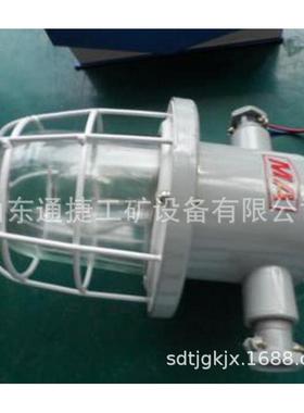DGS60防爆白炽灯 DGS60防爆白炽灯 DGS-60原KBB系列隔爆型白炽灯
