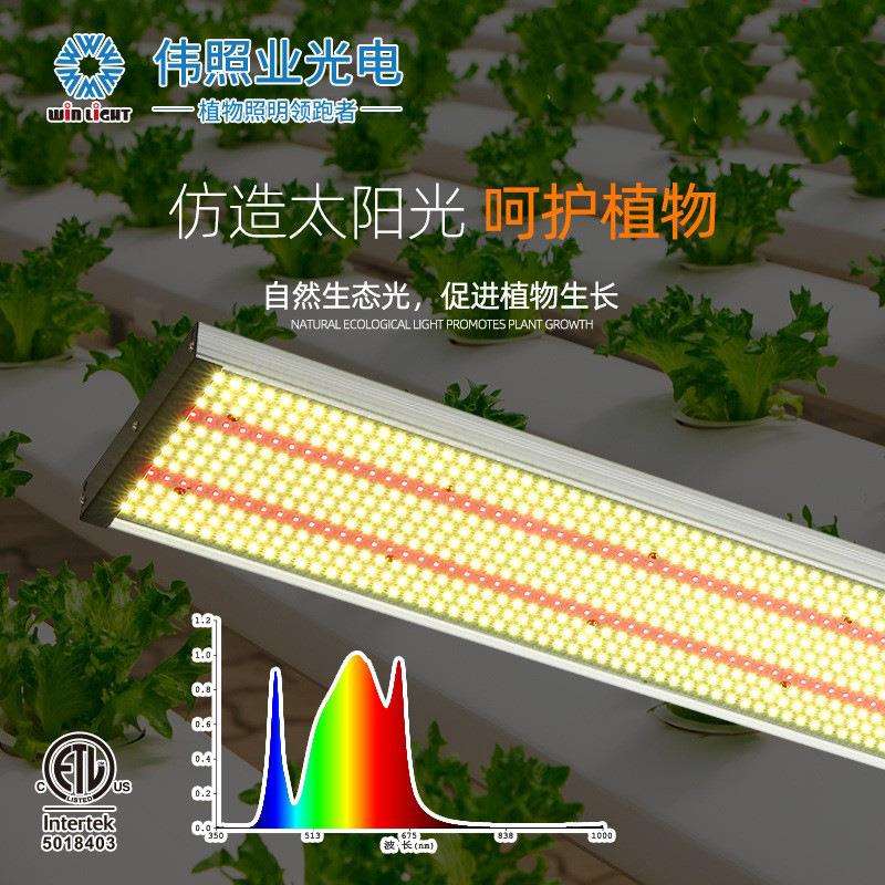 LED叶菜樱桃植物生长灯全光谱大棚花卉补光灯草莓西红柿植物照明