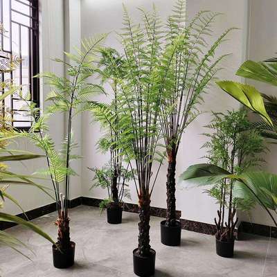 仿真绿植大型高端室内植物假树造景葵猴头马耳蕨猴头蕨桫椤树