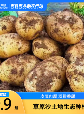 贵州土豆黄心黄皮烧洋芋压洋芋菜土豆泥新鲜多仓齐发