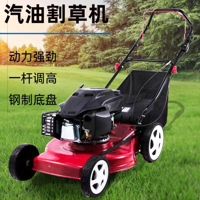 自走式汽油割草机 物业家用草坪碎草除草机手推集草框草坪机,农机/农具/农膜,割灌机/割草机/油锯,淘宝优惠券,粉丝福利购,淘宝优惠卷