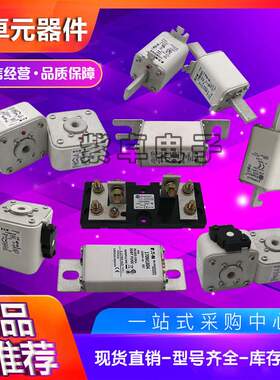 170M6689 170M6690 170M6691 170M6692伊顿巴斯曼 熔断器 保险丝