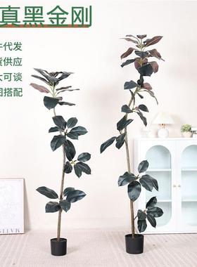 北欧仿真植物橡皮树黑金刚大叶客厅仿真绿植造景装饰盆栽花卉植物