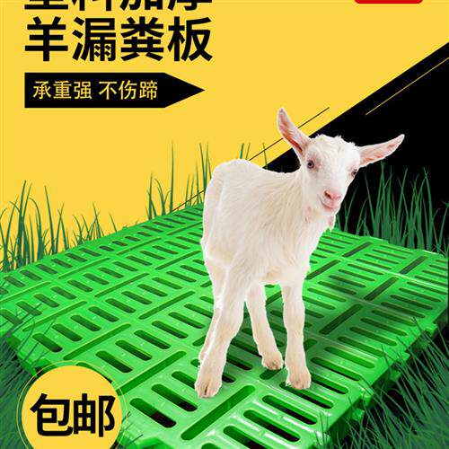 羊床塑料漏粪板羊舍羊圈羊棚羊粪板养羊用的产床垫板覆合漏粪板竹