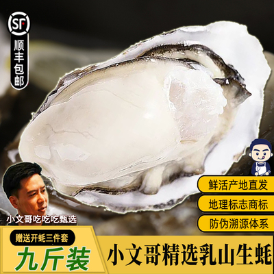 小文哥乳山生蚝贝类海鲜活牡蛎海蛎子烧烤特大肥整箱9斤威海水产