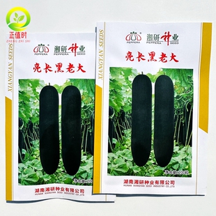 亮长黑老大广东大冬瓜种隆平高科湘研种业亮长黑老大黑皮冬瓜种子