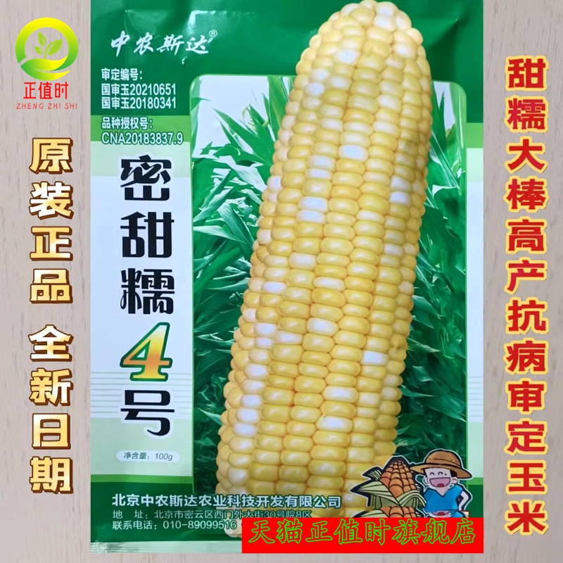 密甜糯4号金银双色玉米种子甜糯