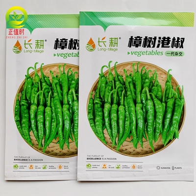 正宗樟树港辣椒苗秧苗湖南辣椒种籽子四季朝天椒辣椒种孑盆栽大全