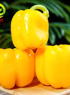 萧新辣椒种籽黄帝灯笼型黄色甜椒种子不辣可食用菜椒种子青黄两用